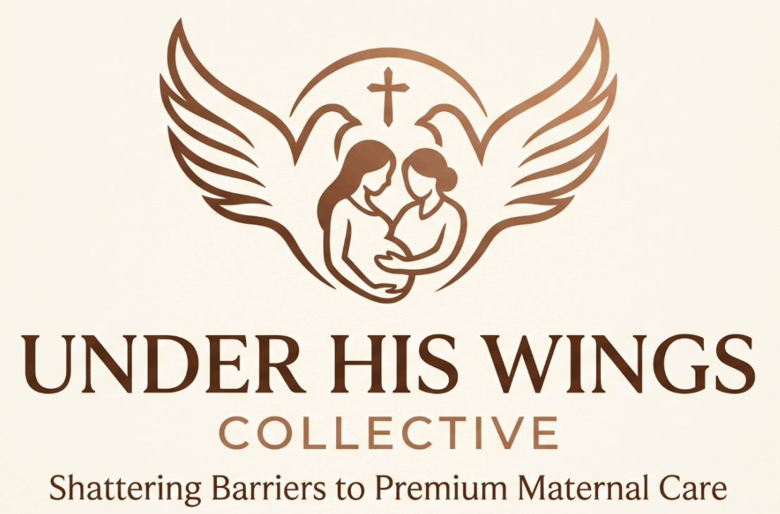 Under His Wings Collective — Shattering Barriers to Premium Maternal Care